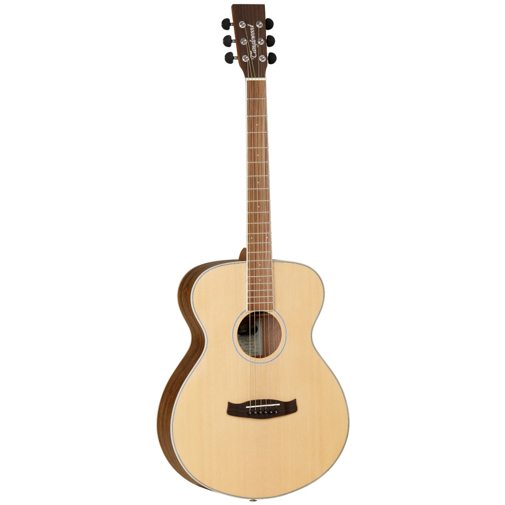 Tanglewood_DBT-F-OV.jpg